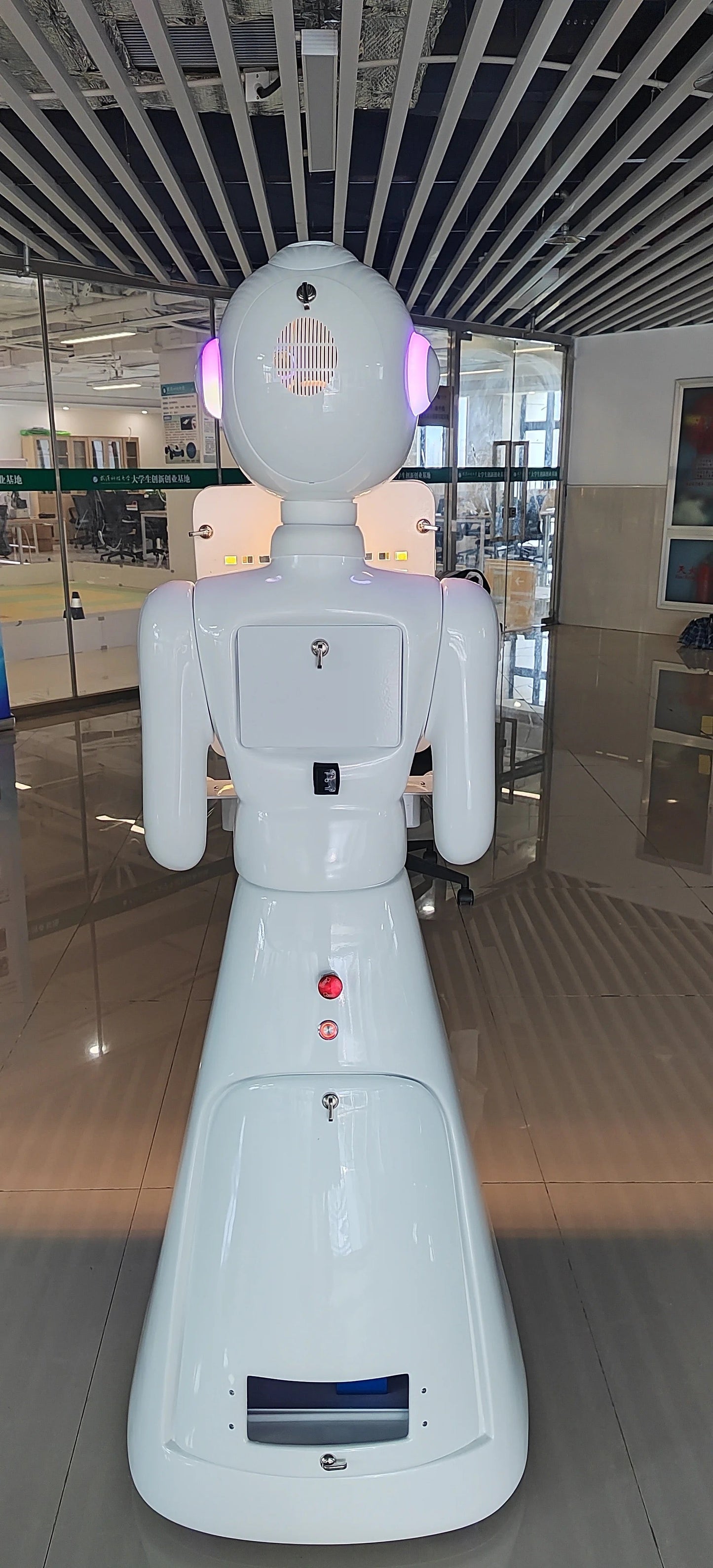 Roaming Robot Photo Booth - DSLR and iPad Booth on Wheels