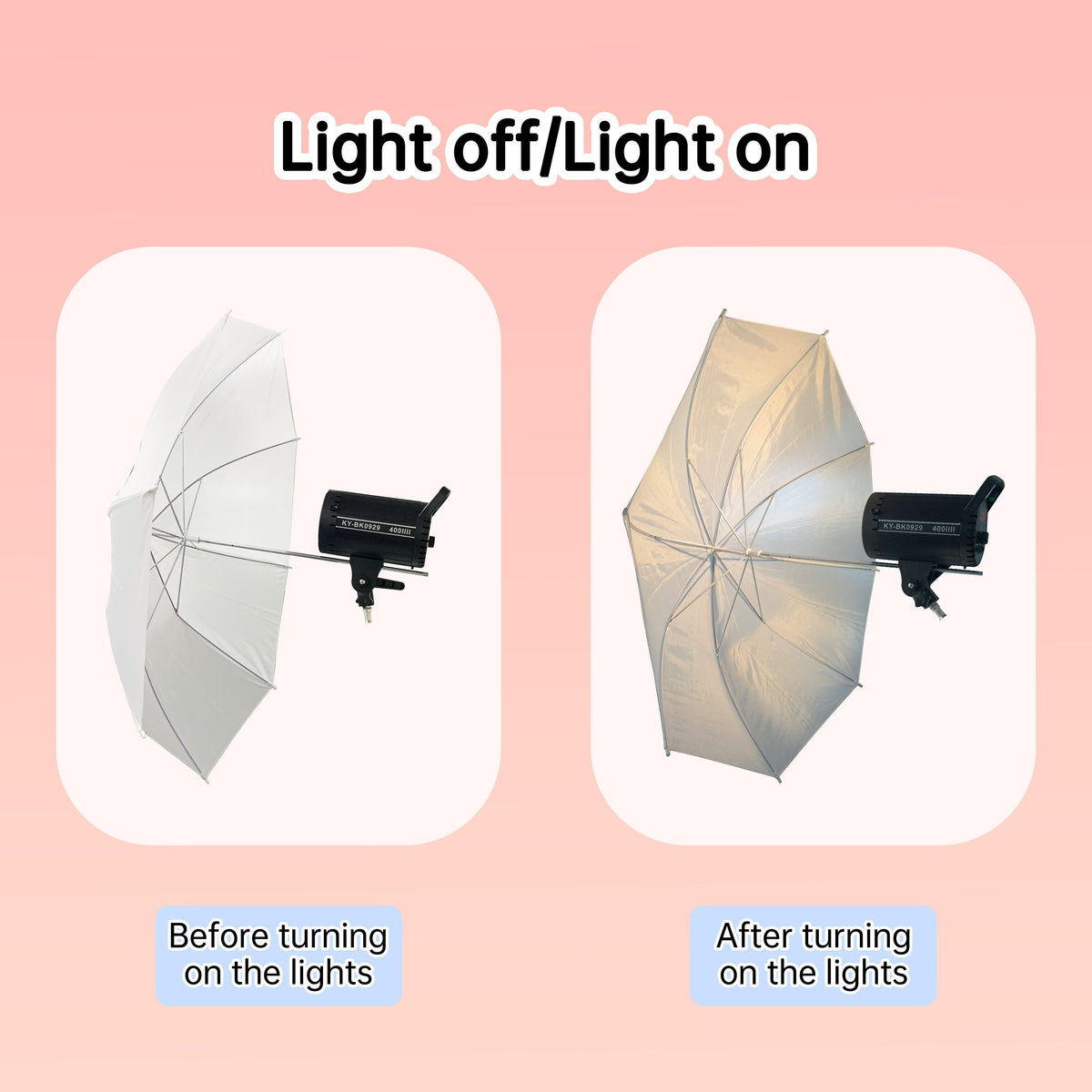 Flash and Still Light with Umbrella - Studio Lighting Kit